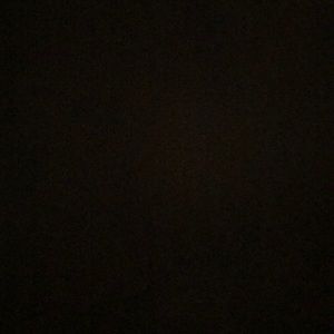 Meet your Posher, Eva